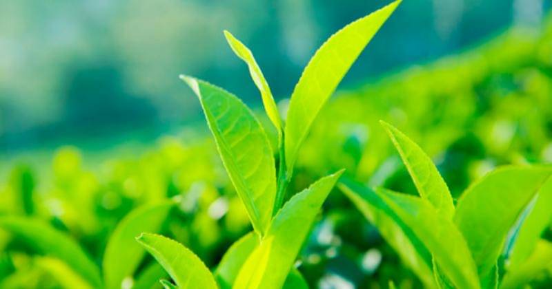 Freepik/Rawpixel.com